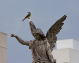 sacra