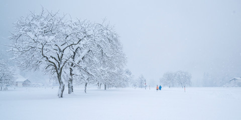 Winterspaziergang