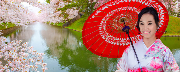 Japanese wpman in Kimono dress with full bloom Sakura - Cherry Blossom at Hirosaki park, Japan