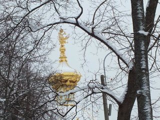 tree and dome of the Church in the Park in winter