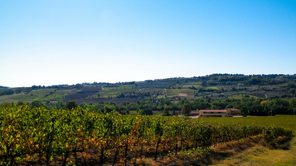 Landscape of the Tuscan vineyards, Chianti region, Italy