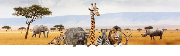 Africa Safari Animals Over Web Banner