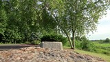 Push up over large rock to tree and parking lot