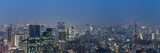 Tokyo skyline, Japan