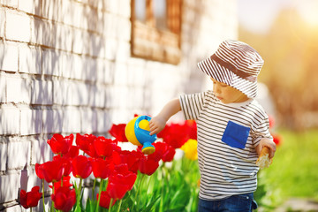 Little child walking near tulips on the flower bed in beautiful spring day