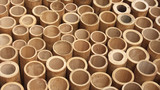 Bamboo