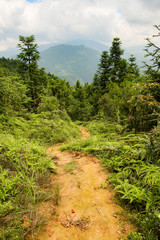 Small path in chinese mountains