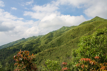 Grassy mountain tops in China