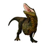 3D Rendering Tyrannosaurus Rex on White