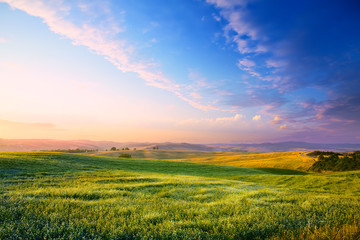 Panorama of a colourful sunset on a flowering green meadow