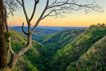 Mountain valley and tree without leaves : Nam Nao, Phetchabun, Thailand