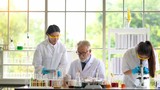 Male and female scientists are experimenting and testing the results at the laboratory.