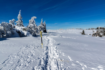 Amazing winter landscape of Vitosha Mountain, Sofia City Region, Bulgaria