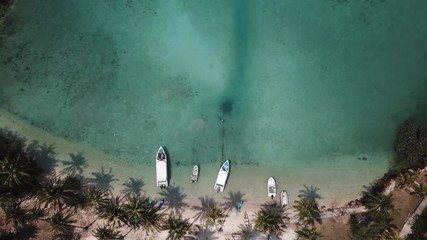 paradise tropical beach with turquoise sea water and palm trees, aerial drone top view beautiful landscape
