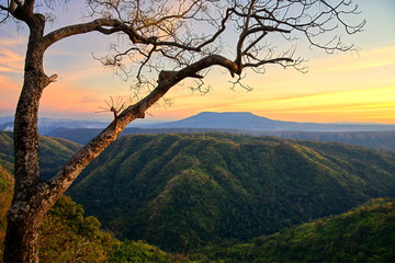Mountain valley and tree branch at sunset sky : Nam Nao, Phetchabun, Thailand