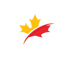 Maple leaf vector illustration