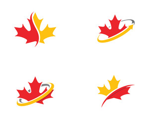Maple leaf vector illustration