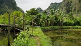 Moving towards a wooden bridge on the bank with a view of hills and banana trees in Rammang-Rammang, Makassar, Indonesia