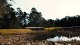 Footbridge over a calm lake