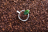 Coffee beans background