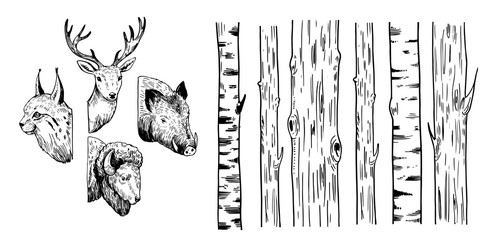 Sketches of trees and forest animals: lynx, deer, boar, bison.  Vector illustration.