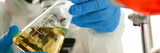 Male chemist look at microscope hold test tube with yellow liquid biological research closeup. Conducts study urine materials content harmful substances microorganisms human heretical cloning concept