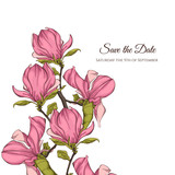 Magnolia flower vector illustration. Perfect for background greeting cards and invitations of the wedding, birthday, Valentine's Day, Mother's Day.