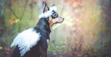 Angel dog, portrait of a dog in the image of an angel, in a wreath and with white wings. Symbol of kindness and friendship of dogs.