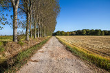 Campagne e risaie del pavese (Lombardia)