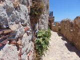 Rue à Monemvasia