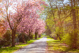 springtime