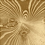 Gold wood pattern background and abstract wallpaper, backdrop.