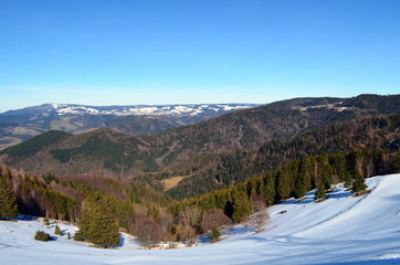Winterliche Schwarzwaldlandschaft