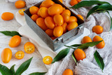 Kumquat fruits on a grey background
