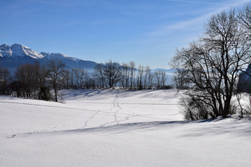 Prairies enneigées du Plateau des Petites Roches