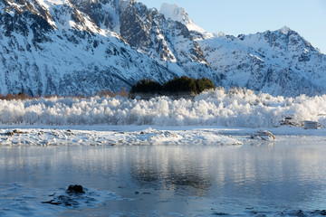 Winterlandschaft auf den Lofoten, Norwegen