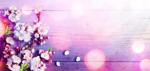 Spring - Trend Colors Palette - Pink Blossoms On Rustic Wood