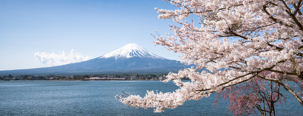 Berg Fuji zur Kirschblüte im Frühling, Kawaguchiko, Yamanashi Präfektur, Japan