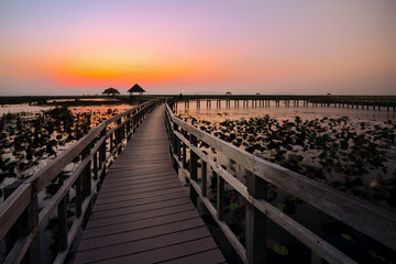 wood bridge in lake water lily