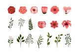 set tropical flowers plants with petals and leaves