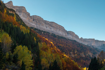 Beech forest, Ordesa and Monte Perdido National Park, Huesca province, Spain
