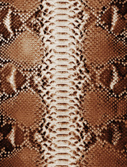 Brown snake skin background. Animal print texture