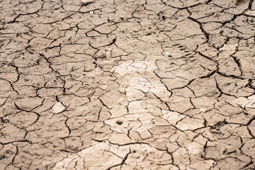 Dry cracked land