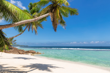 Caribbean sunny beach with palm on white sand and the turquoise sea on Jamaica Caribbean island.