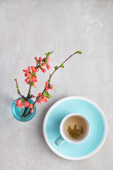 Springtime flat lay, cup of green tea and Japanese quince flowers on a grey stone, copy-space