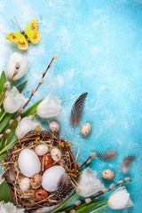 Easter composition with Easter eggs in nest,pussy willow branches and white tulips