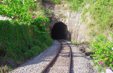 Scenic view of the tunnel in the rock. Railways lead to the tunnel.