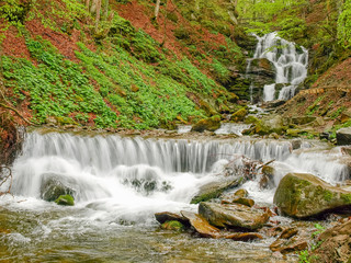 Waterfall in beech forest in Carpathian mountains in early spring