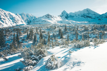 Spectacular landscape of snowy mountains in winter