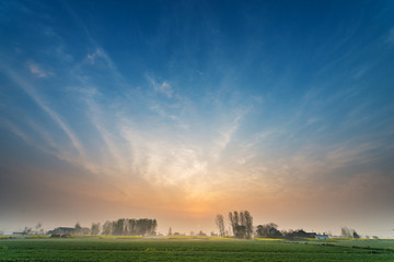 Early morning wheat fields in the countryside under a clear sky